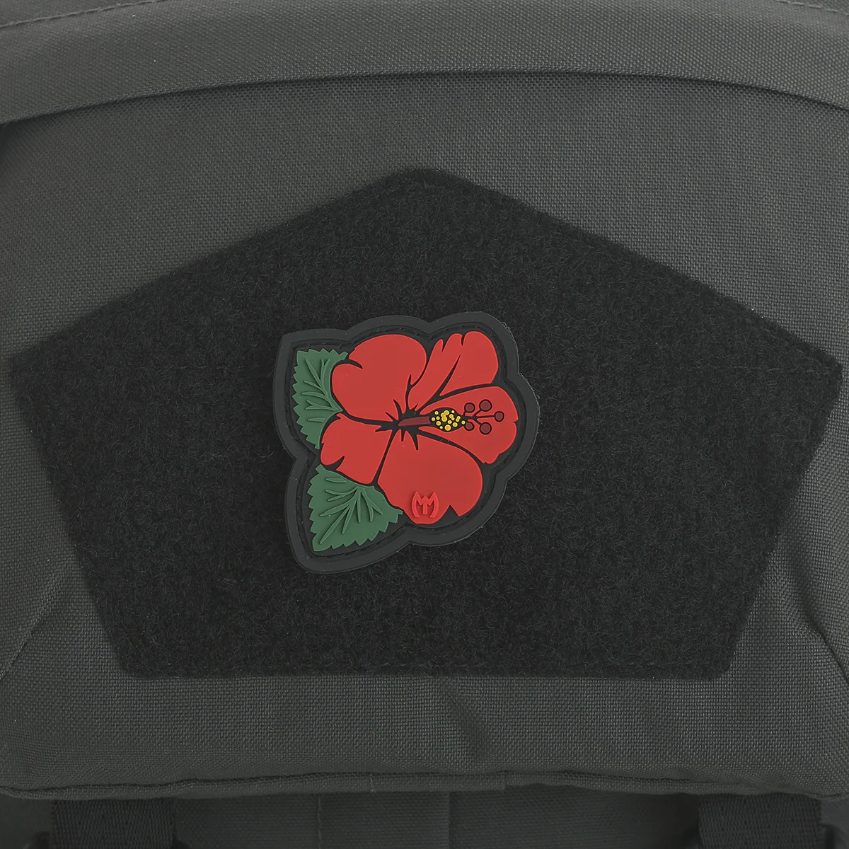 Hibiscus - Image 4
