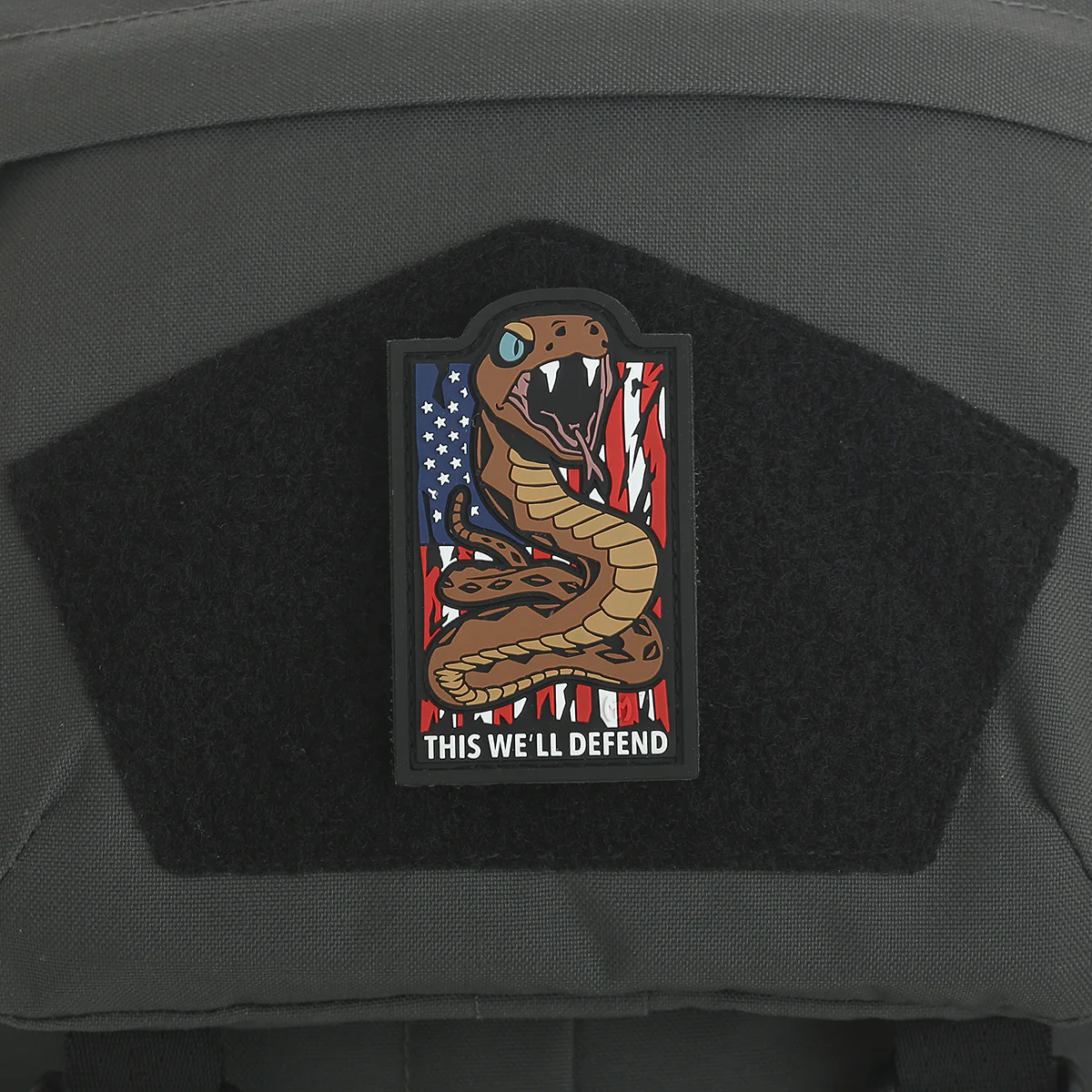 This We’ll Defend - Image 4